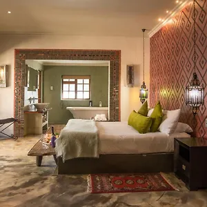 Singa - Lion Roars Hotels&lodges Port Elizabeth